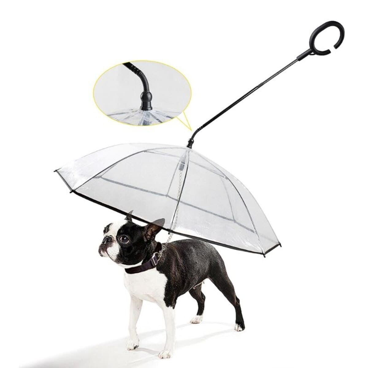 Umbrella for dogs - DiFreight