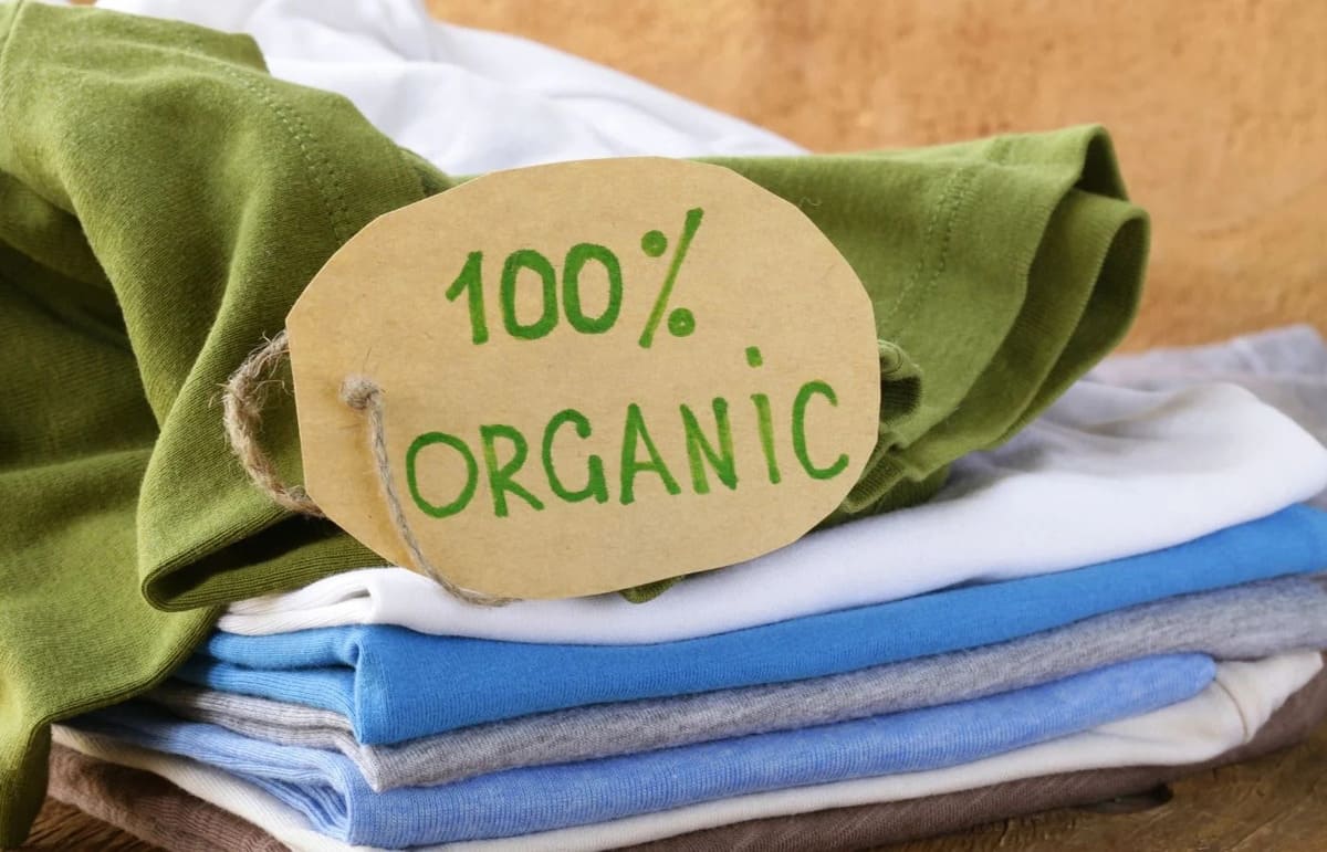 Eco-friendly одежда – современный тренд потребления - DiFreight