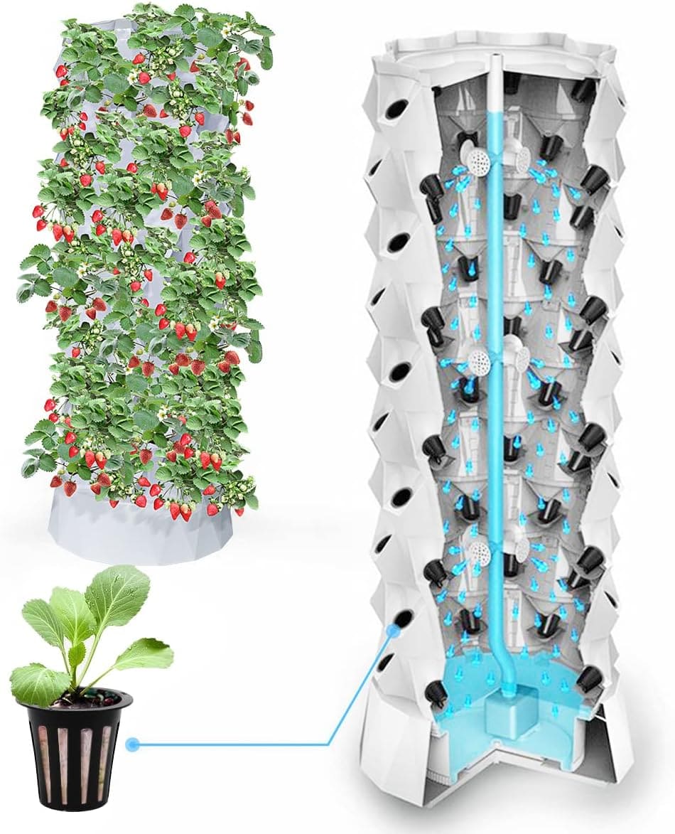 Hydroponic systems offer a number of advantages, including efficiency, convenience and control - DiFreight