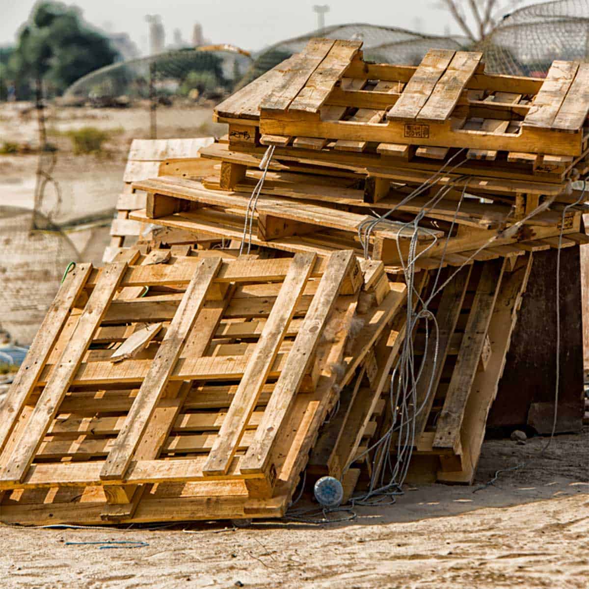 Wooden or plastic pallets? What is more practical at work?