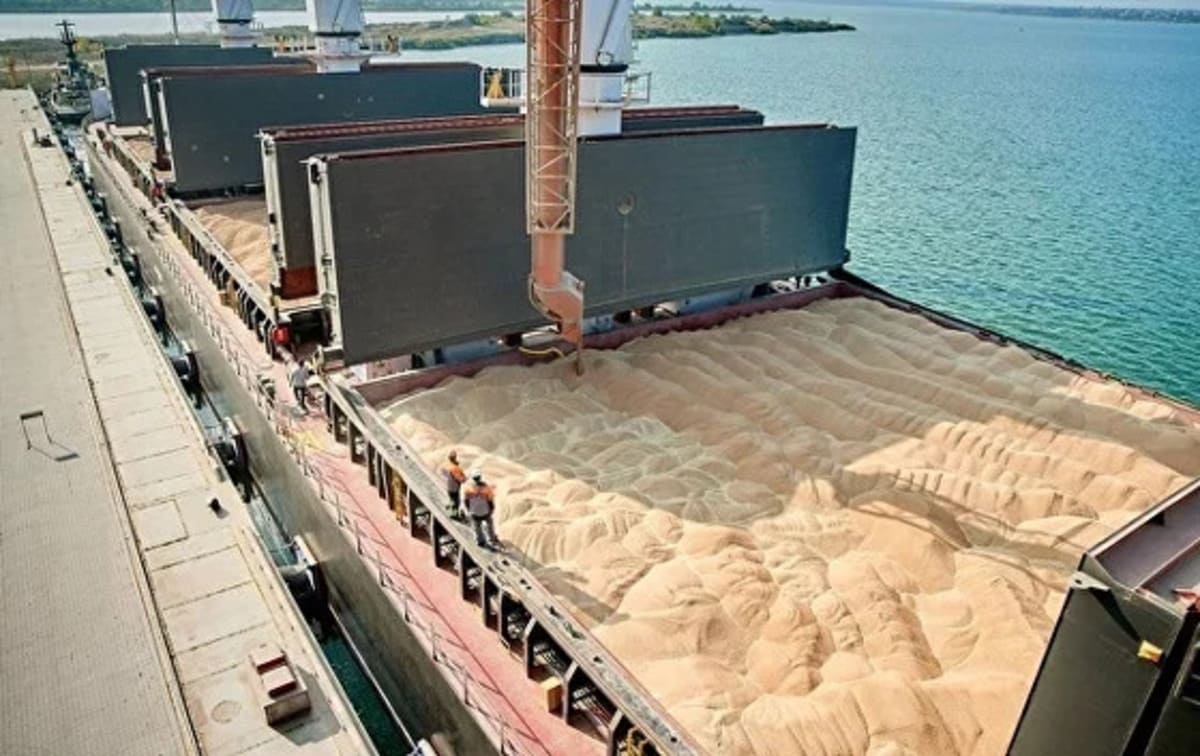 Ship insurance will have a positive impact on the work of grain traders - DiFreight